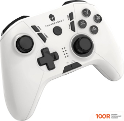 Thunderobot G30 (68965)