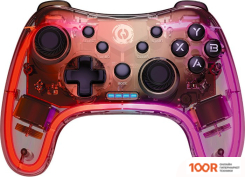 Canyon GPW-04 (68564)