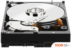 Жесткий диск WD RE 1TB WD1003FBYZ (ВОССТАНОВЛЕННЫЙ ПРОИЗВОДИТЕЛЕМ) (67872)