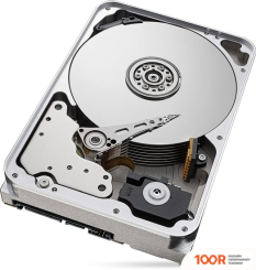 Жесткий диск Seagate IRONWOLF 10TB ST10000VN0008 (67643)