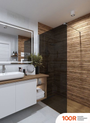 Стеклоконтакт 8G-2000X895 (ГРАФИТ) (61165)