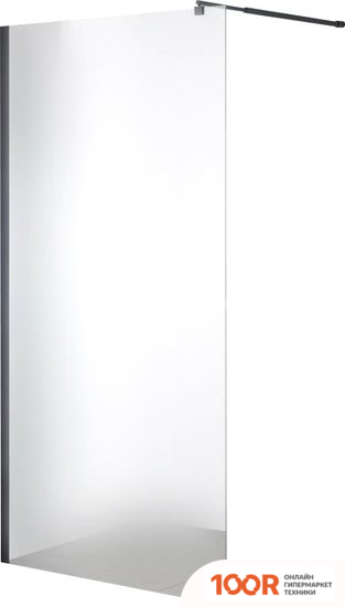 Saniteco WALK-IN SN-W6MB120 (120X200, МАТОВОЕ СТЕКЛО, ЧЕРНЫЙ ПРОФИЛЬ) (60430)