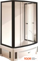 Radomir ДИАНА 1-03-6-0-0-0140 (ПРОЗРАЧНЫЕ СТЕКЛО/ЧЕРНЫЙ) (59342)