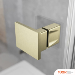 Radaway ESSENZA PRO BRUSHED GOLD DWJ 100/L 10099100-99-01L (58186)