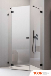 Radaway ESSENZA PRO BLACK PTJ DOOR L (58184)