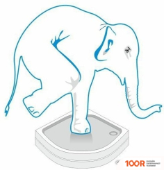 Domani-Spa DELIGHT 99 90X90 (ПРОЗРАЧНОЕ СТЕКЛО/ЧЕРНЫЙ) (55041)