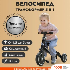 AV Engineering CROCUS PLUS 100 (51827)