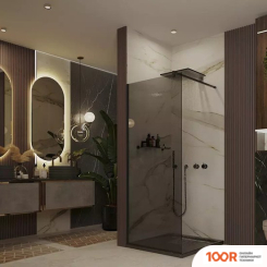 Ambassador WALK-IN 15032222 100 (51537)