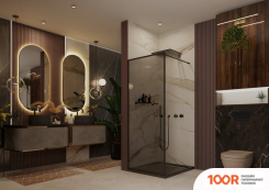 Ambassador WALK-IN 15032218 100 (51536)