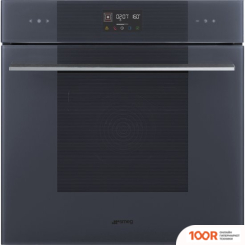 Духовой шкаф Smeg LINEA AESTHETIC SOP6102TG (49172)