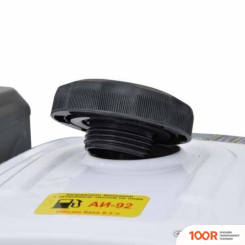 Двигатель Skiper N192F(K) (45962)