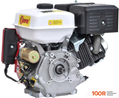 Двигатель Skiper N190F/E(SFT) (45961)