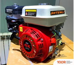 Двигатель Shtenli GX200 (45936)