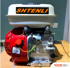 Двигатель Shtenli GX200 (45936)