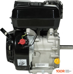 Двигатель Loncin H200 A-TYPE D20 (45923)