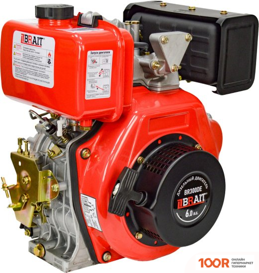 Двигатель Brait BR300DE (45839)