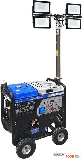 Генератор ТСС WALGG 5.0/200E (45564)