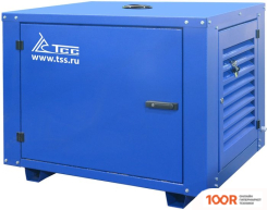 Генератор ТСС SGG 8000EH3NA (45552)