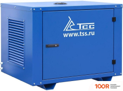 Генератор ТСС SGG 5000EHNA (45535)