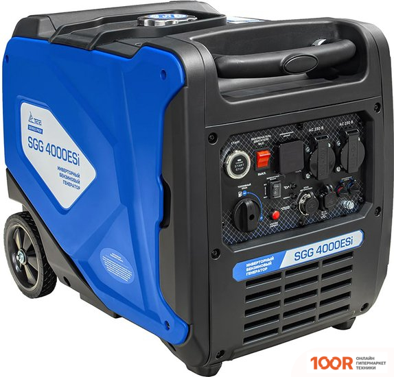 Генератор ТСС SGG 4000ESI 060049 (45530)