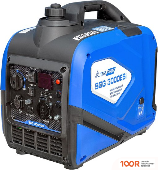 Генератор ТСС SGG 3000ESI 060058 (45521)