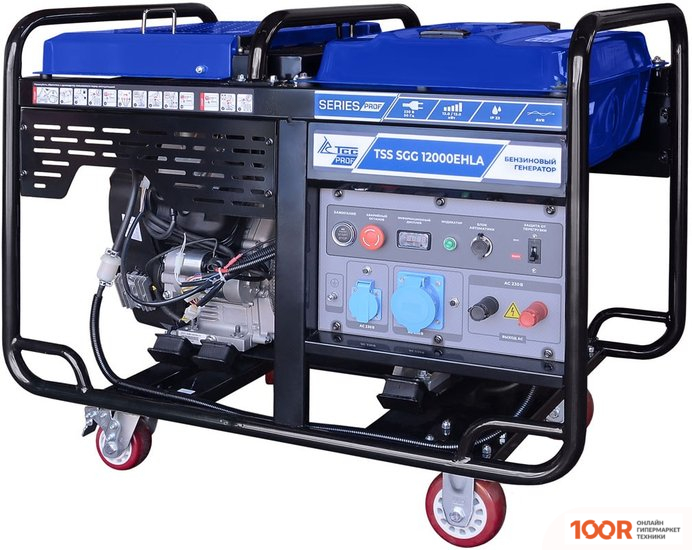 Генератор ТСС SGG 12000EHLA (45504)