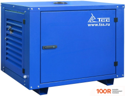 Генератор ТСС SGG 12000EH3LA (45502)