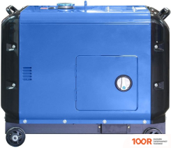 Генератор ТСС PRO DGW 3.0/250ES-R В КОЖУХЕ (45465)