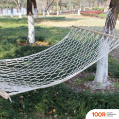 Sundays TBD05650929 (44646)