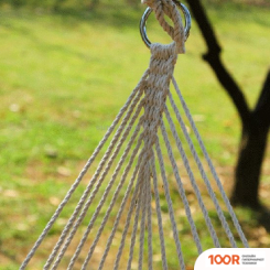 Sundays OG1343 (44643)