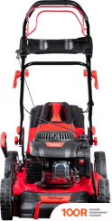 Газонокосилка Fubag FPL 53 SMVF 46284 (43579)
