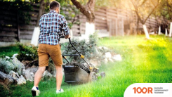 Газонокосилка Fieldmann FZR 2046-E (43548)