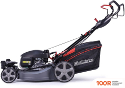 Газонокосилка Evoline LMG51CVHTURN (43531)