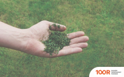 Газонокосилка Einhell GC-PM 51/3 S HW (43445)