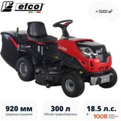 Газонокосилка Efco EF 92R/19 K V (43412)
