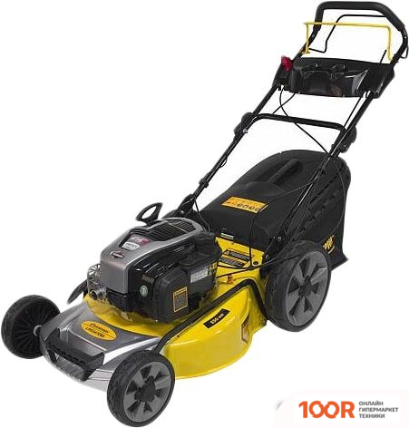 Газонокосилка Champion LM5347EBS (43238)