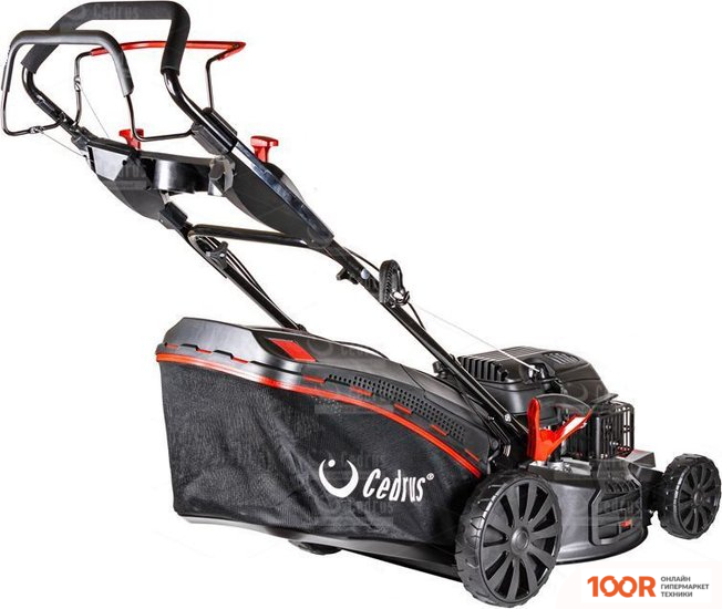 Газонокосилка Cedrus KS53S (43225)