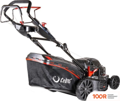 Газонокосилка Cedrus KS53S (43225)