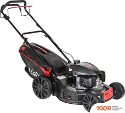Газонокосилка Cedrus KS53H (43224)