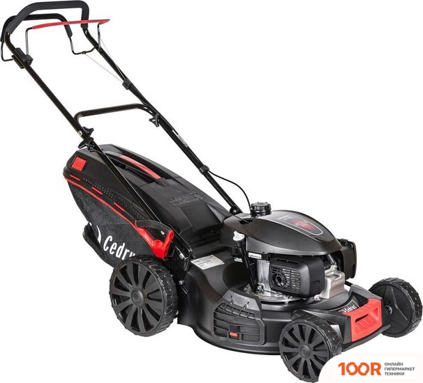 Газонокосилка Cedrus KS53H (43224)