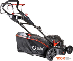 Газонокосилка Cedrus KS48S (43223)