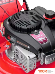 Газонокосилка Brado BL40 (43184)