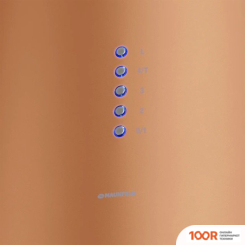 Кухонная вытяжка MAUNFELD LEE WALL 39 (МЕДНЫЙ) (40318)