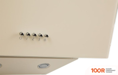 Кухонная вытяжка Making Oasis Everywhere NP-50I (FR) (40077)