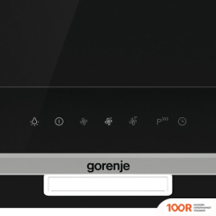 Кухонная вытяжка Gorenje WHI649X21P (38752)