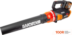 Воздуходувка Worx WG584E (С 2-МЯ АКБ) (36235)