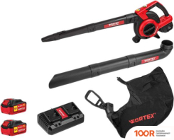 Воздуходувка Wortex BB 2536-1 D ALL1 SOLO 1333418 (С 2-МЯ АКБ) (36224)