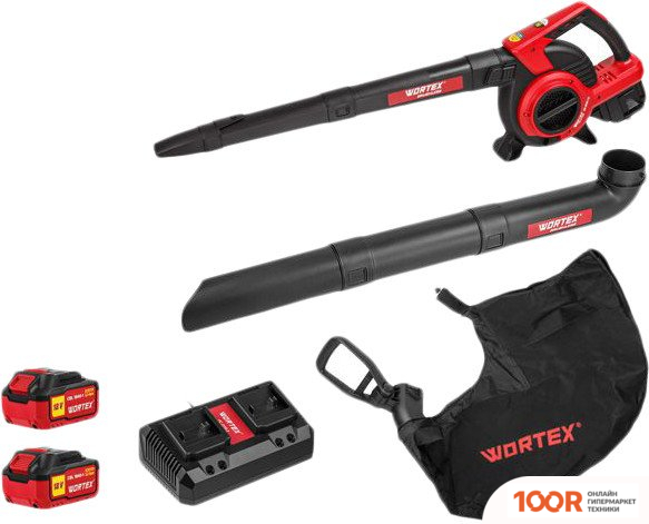 Воздуходувка Wortex BB 2536-1 D ALL1 SOLO 1333418 (С 2-МЯ АКБ) (36224)