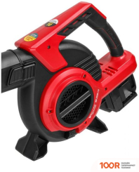 Воздуходувка Wortex BB 2536-1 D ALL1 SOLO 1333417 (БЕЗ АКБ) (36223)