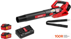 Воздуходувка Wortex BB 2536 D ALL1 1333405 (С 2-МЯ АКБ) (36222)